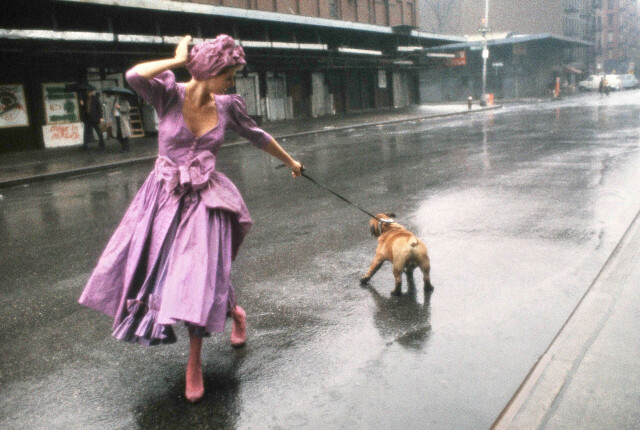 Дама с бульдогом, 1994. Фотограф Роберт Фарбер
