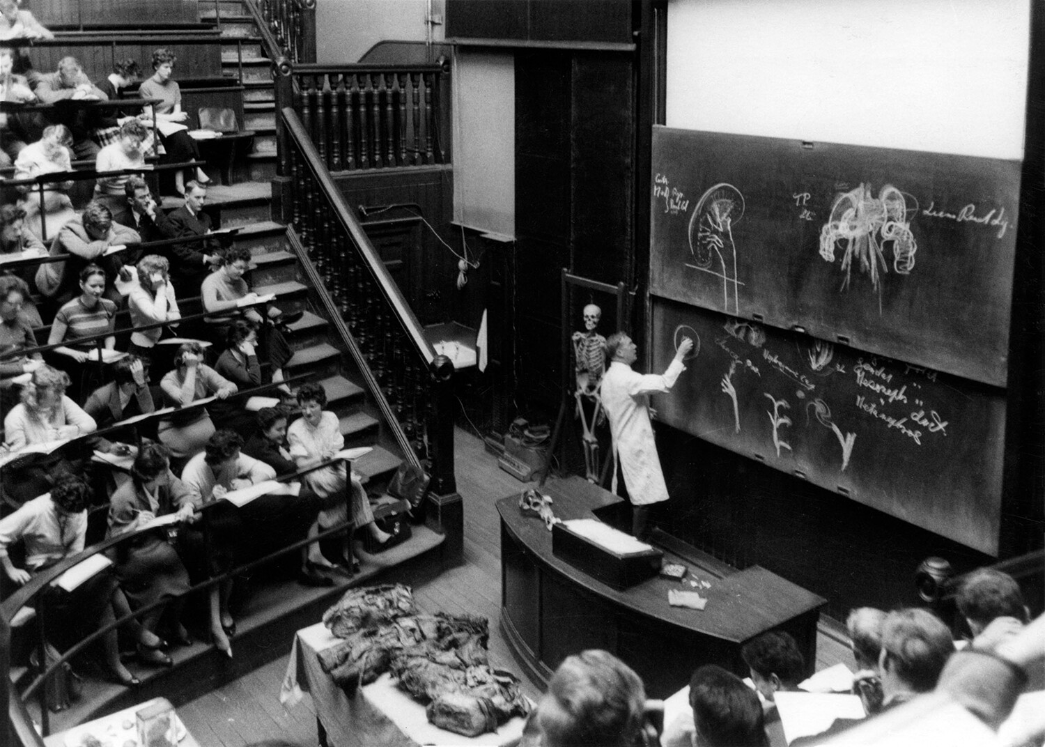 Доктор Инкстер на курсе анатомии в медицинской школе при Эдинбургском университете, 1958. Фотограф Роберт Бломфилд