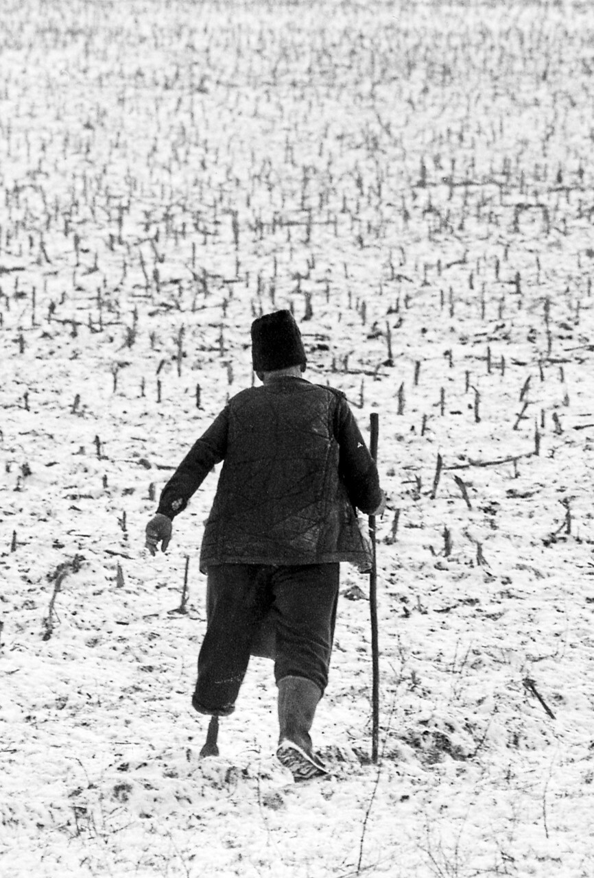 Ветеран войны, 1976. Фотограф Петер Корниш