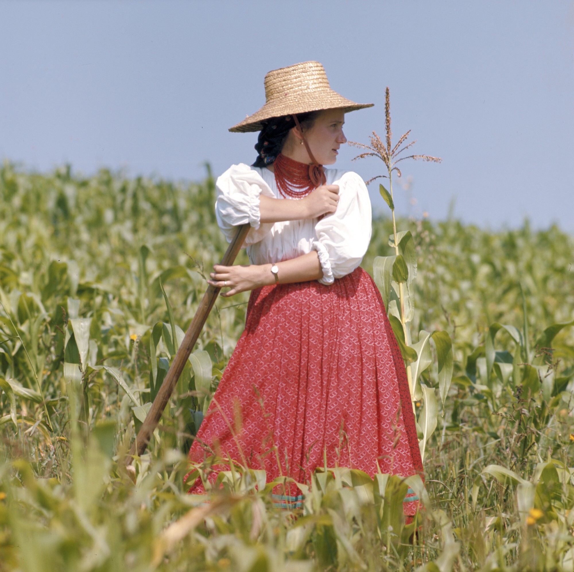 Девушка в поле, 1974. Фотограф Петер Корниш