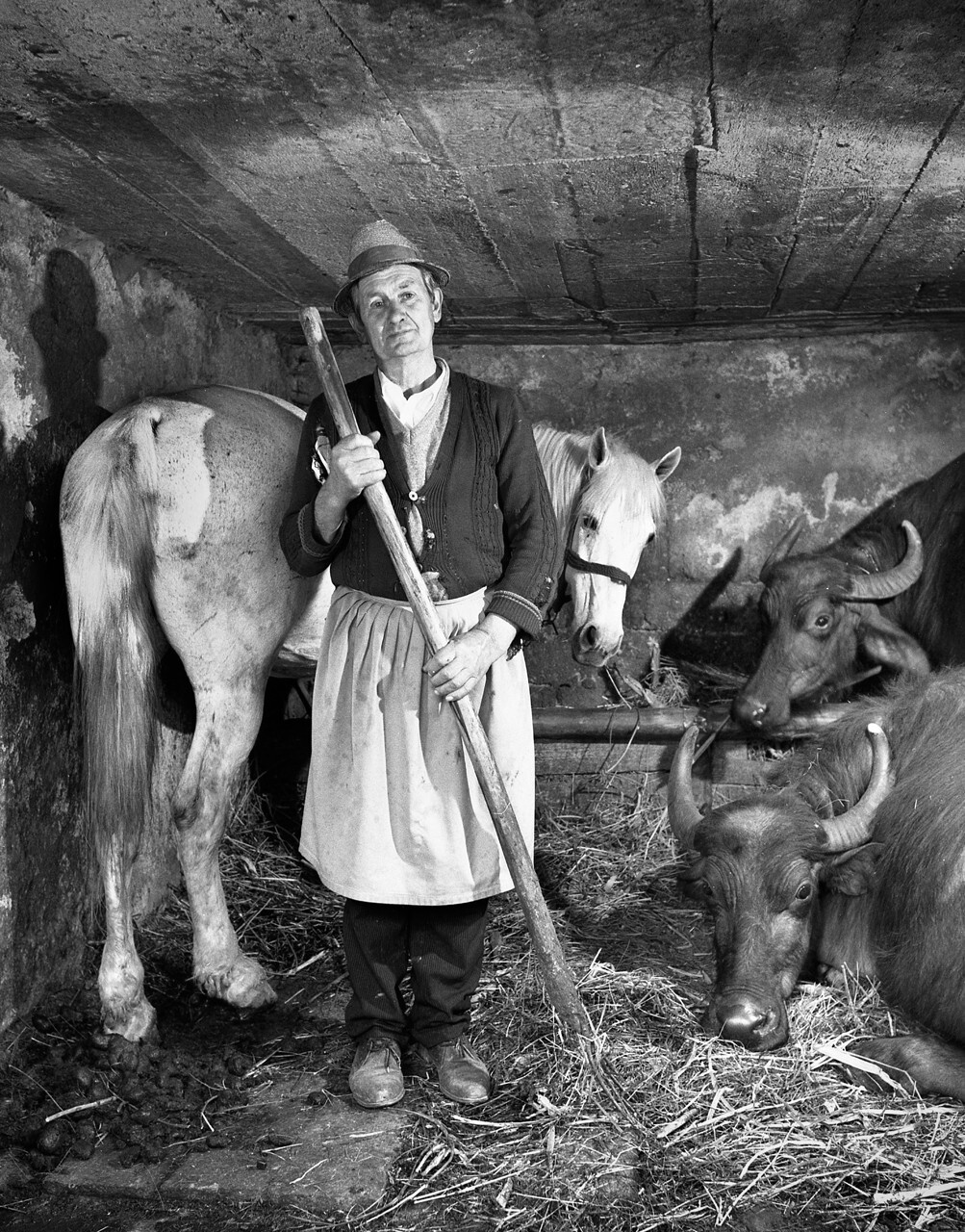 Фермер в своём хлеву, 1998. Фотограф Петер Корниш