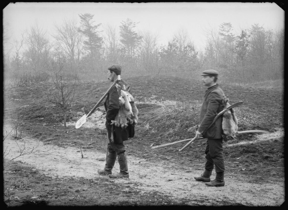 Борьба с кроликами, 1909 год. Фотограф Ричард Тепе