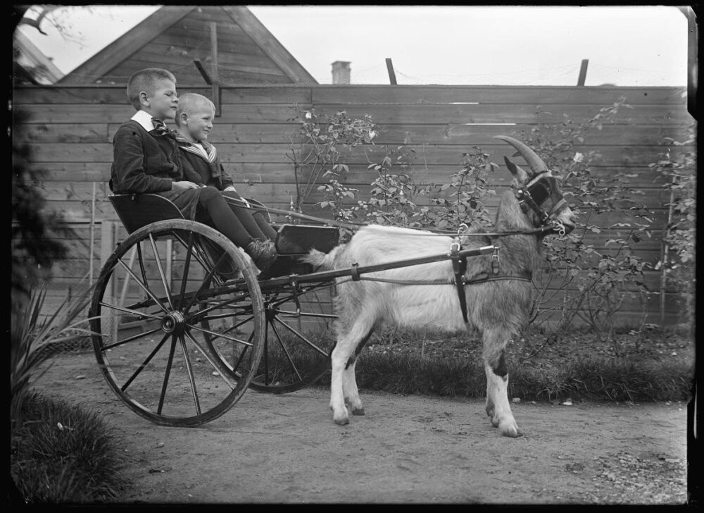 Повозка, 1915 год. Фотограф Ричард Тепе