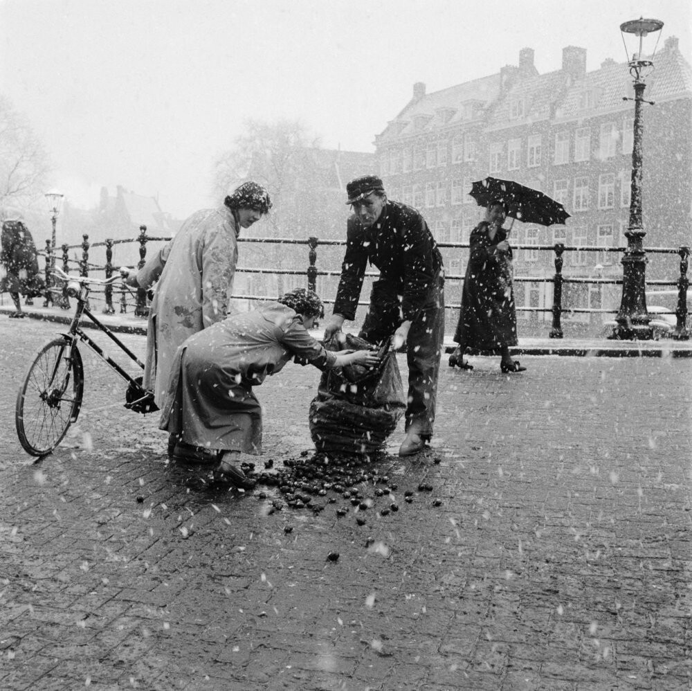 Собирание упавших углей, Амстердам, 1955 год. Фотограф Дольф Крюгер