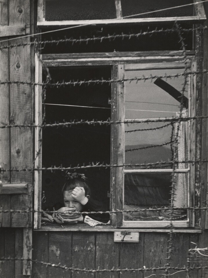Лагерь для беженцев из Восточной Европы, Германия, 1953 год. Фотограф Мартин Коппенс