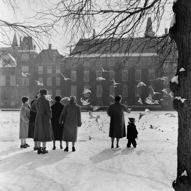 Зимние гости, Гаага, 1956 год. Фотограф Эд ван Вейк
