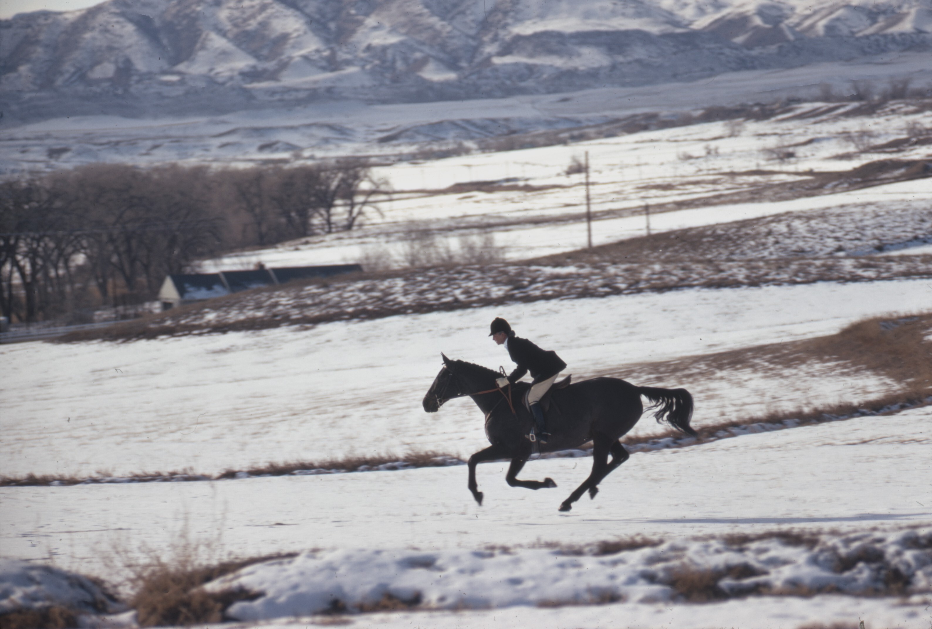 Энн Бонфой Тейлор на своей лошади, Колорадо, 1967. Фотограф Тони Фрисселл
