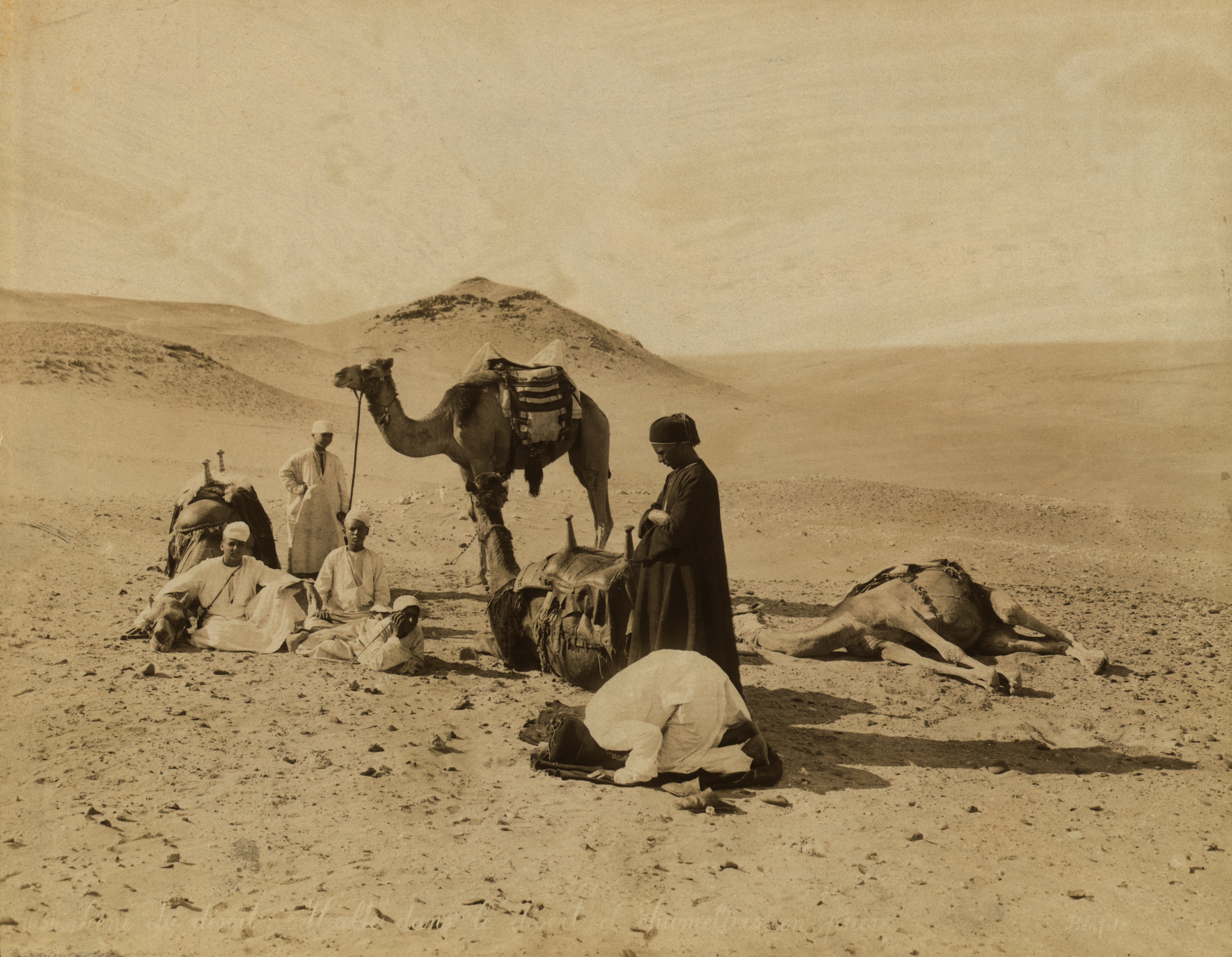 Погонщики верблюдов остановились для молитвы в пустыне, Египет, 1867. Фотограф Бонфилс