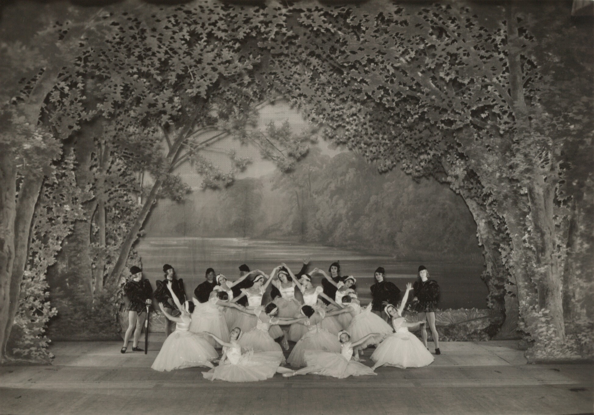Лебединое озеро. Из коллекции Русские балеты Сержа Дягилева