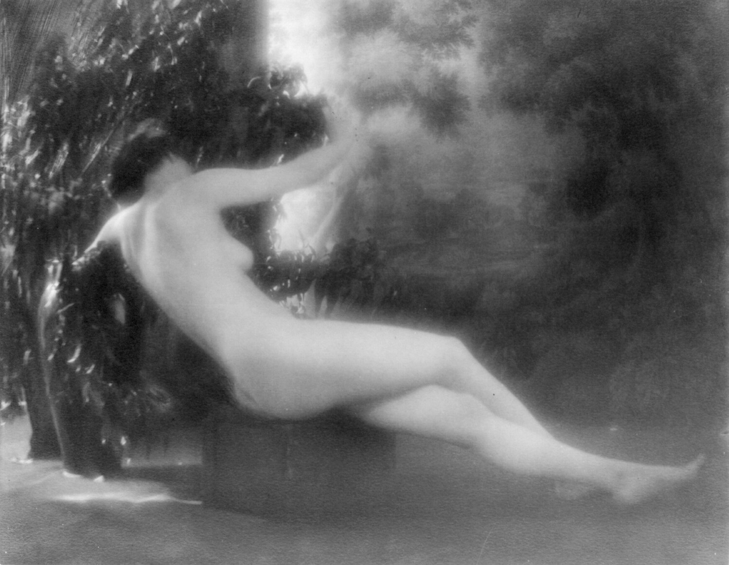 Дафна, 1915. Фотограф Франсис Жозеф Брюйер