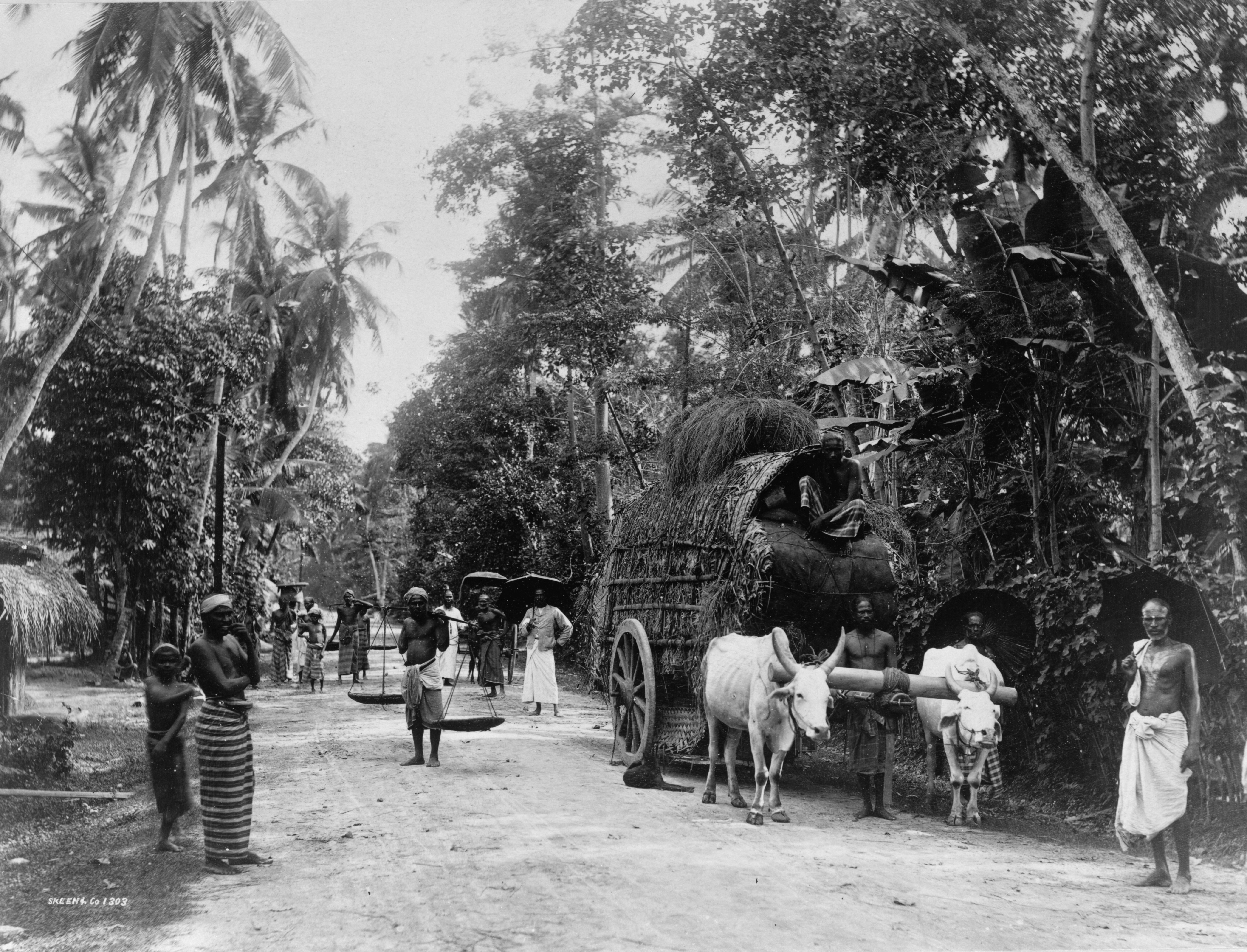 На дороге в Цейлоне (Шри-Ланка), 1880 – 1920. Из коллекции Фрэнка Джорджа Карпентера