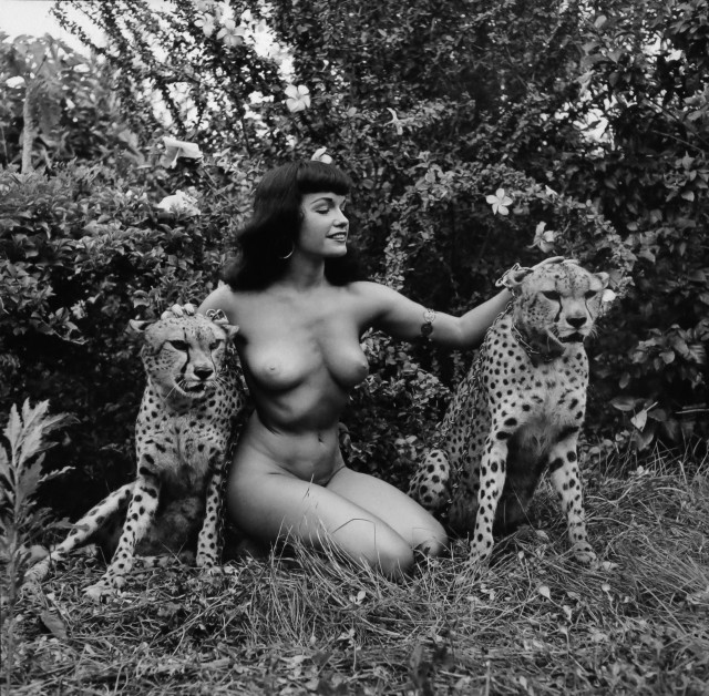 Бетти Пейдж с двумя гепардами, 1954. Банни Йеджер