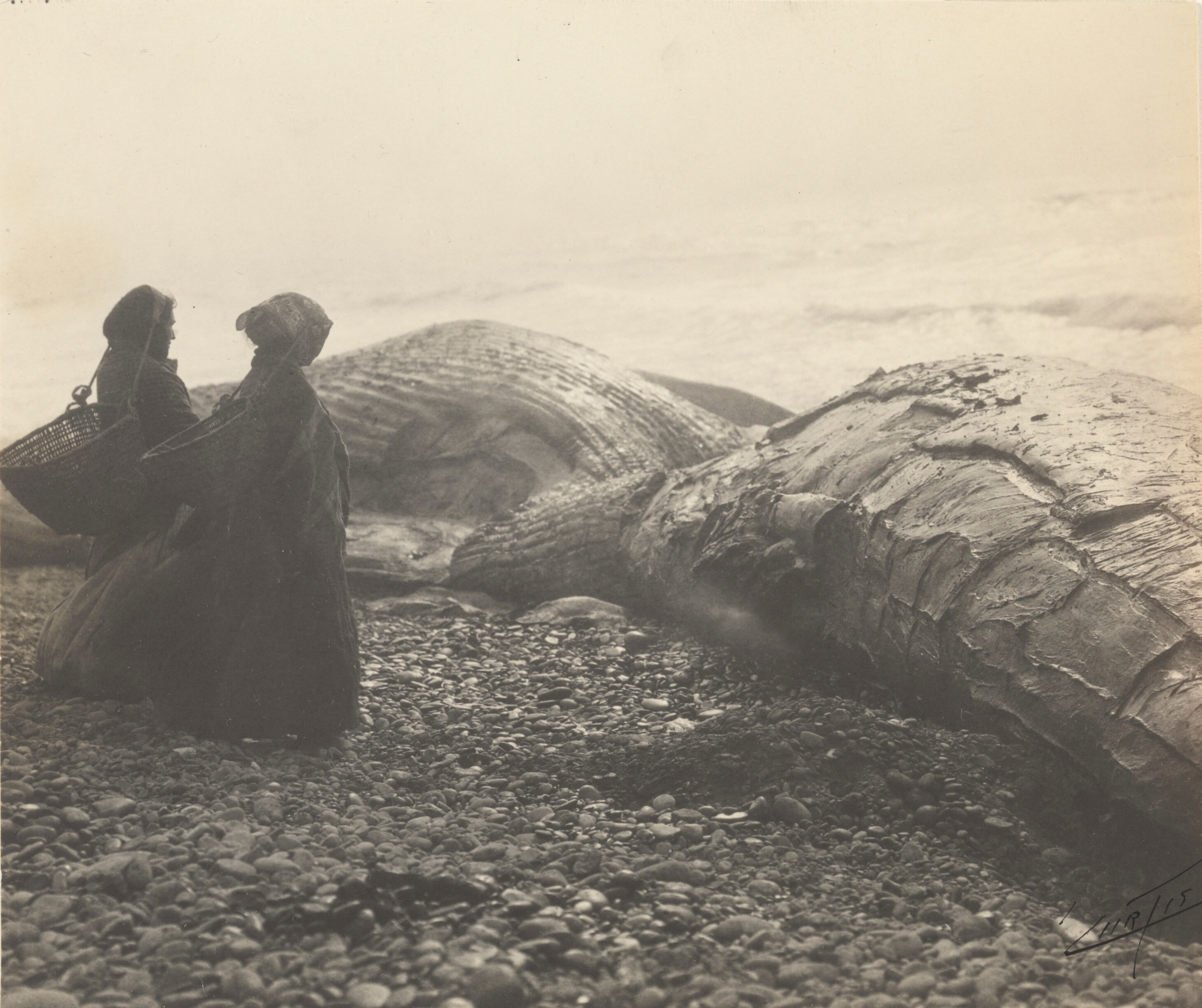 Индианки с корзинами на спинах смотрят на двух китов, выброшенных на берег, 1915. Фотограф Эдвард Кёртис