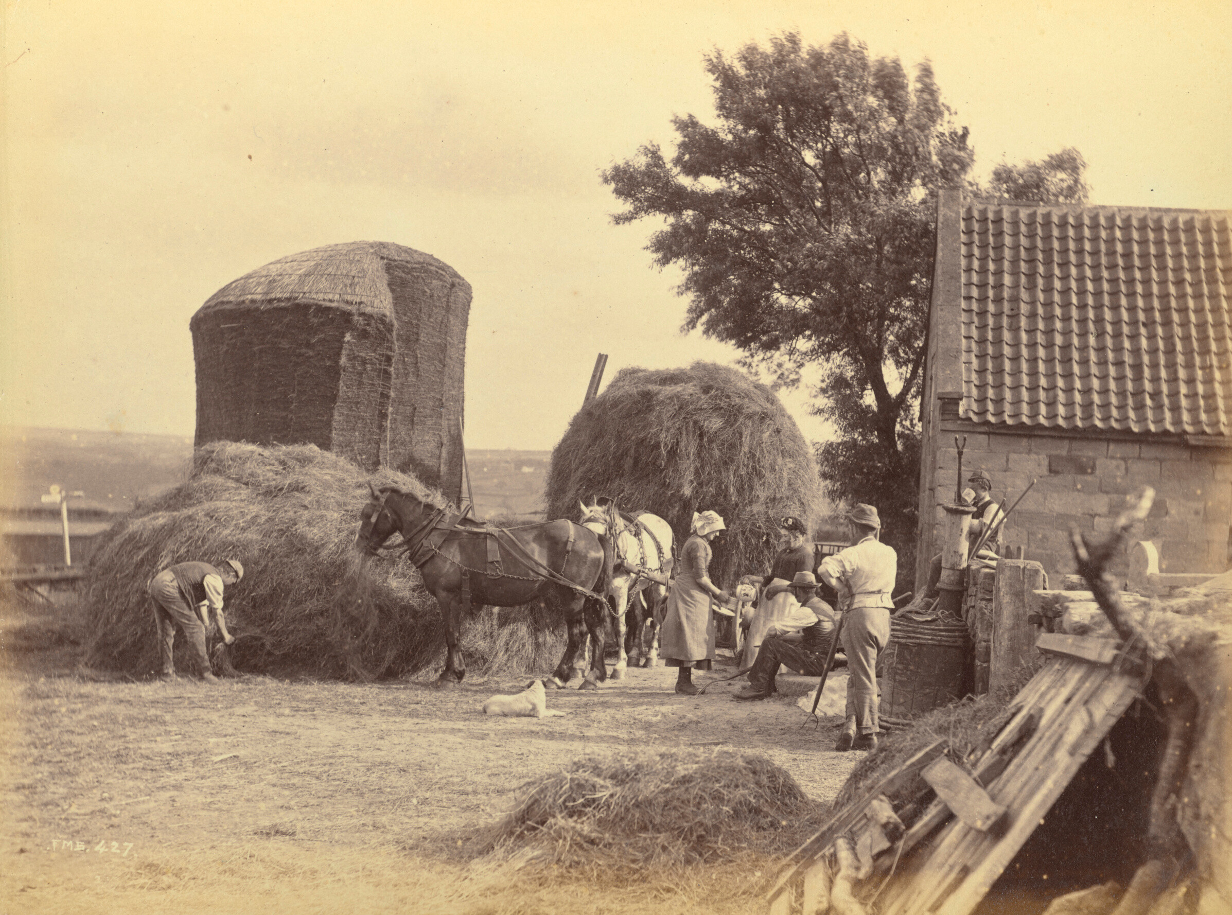 Уитби, 1880. Фотограф Фрэнк Мидоу Сатклифф
