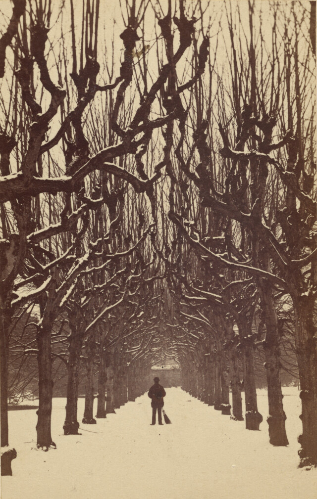 Аллея, Тринити-колледж зимой, Англия, 1866. Фотографы Хиллз и Сондерс