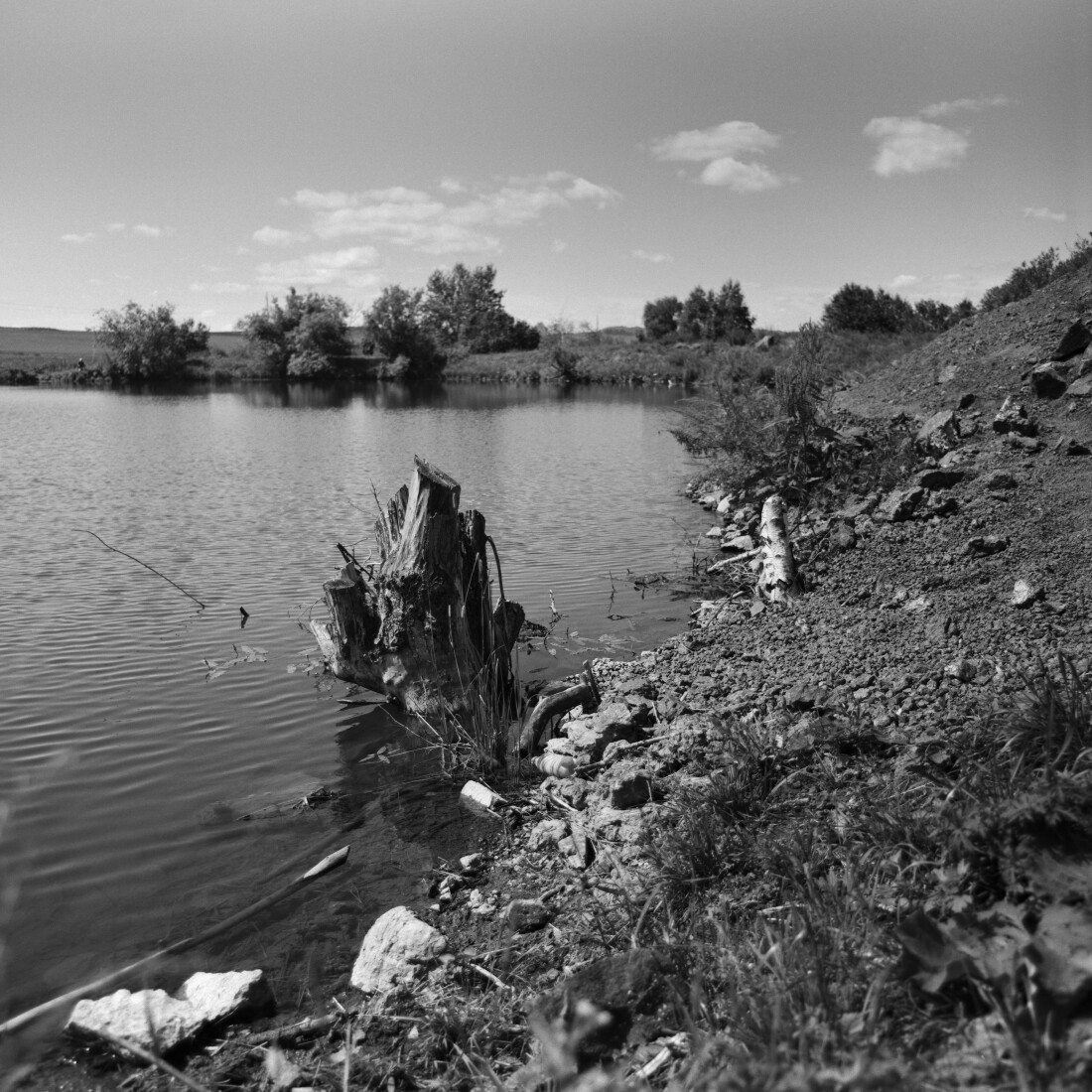 Калиновский пруд. 2022 (Ilford Delta 100) © Александр Жирнов