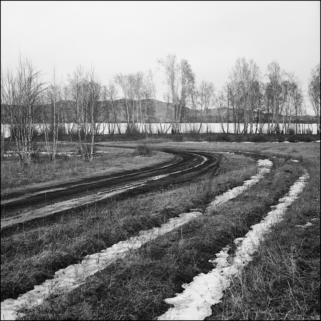 Дорога к озеру. © 2024