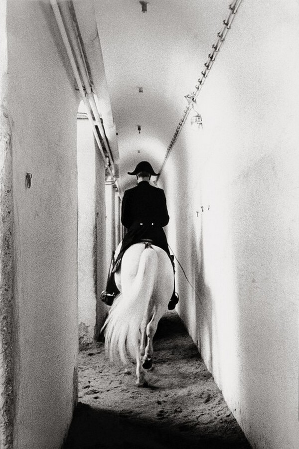 В школе верховой езды. Вена, 1962. Фотограф Франц Хубманн