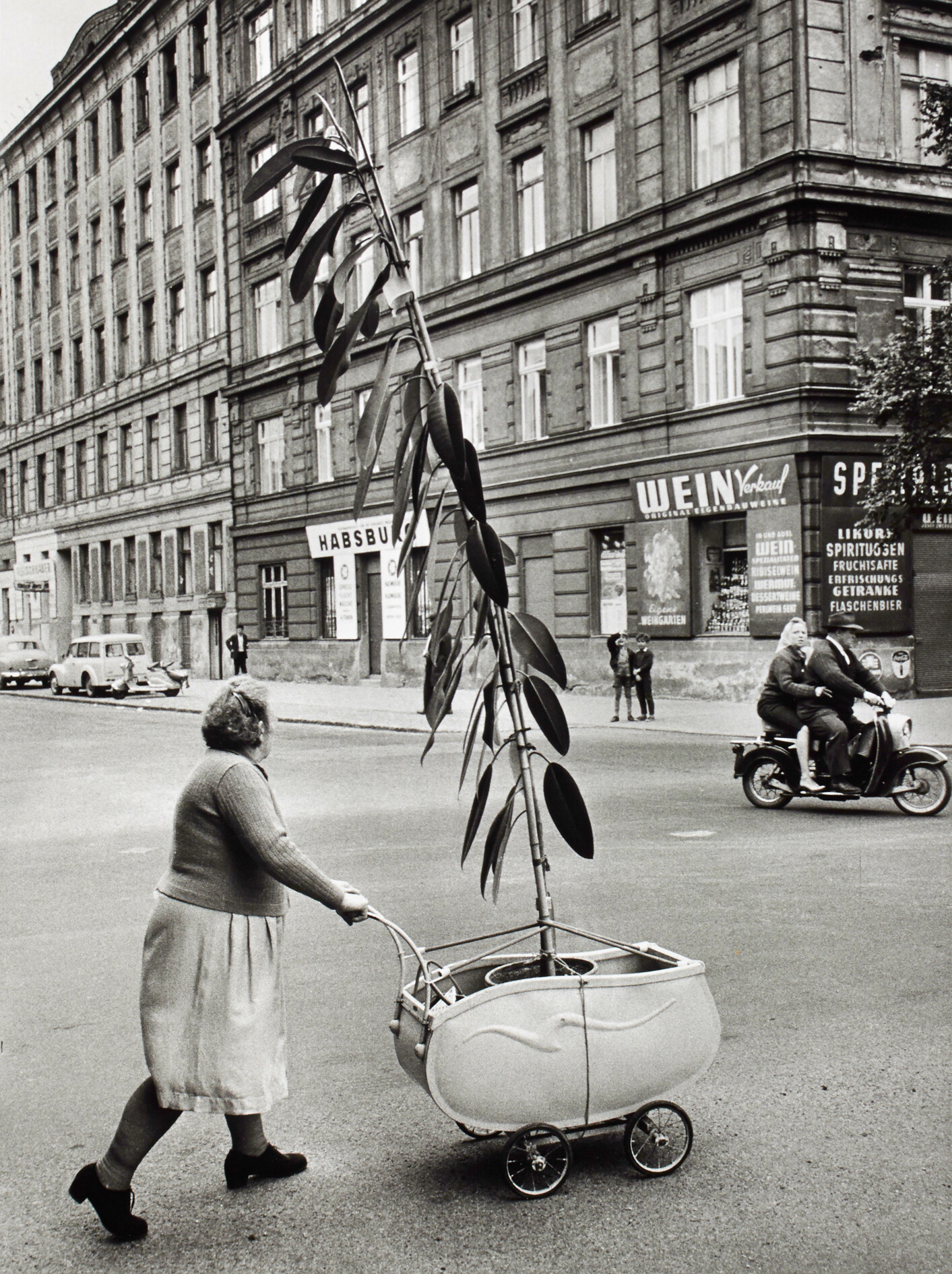 Женщина с растением. Вена, 1954. Фотограф Франц Хубманн