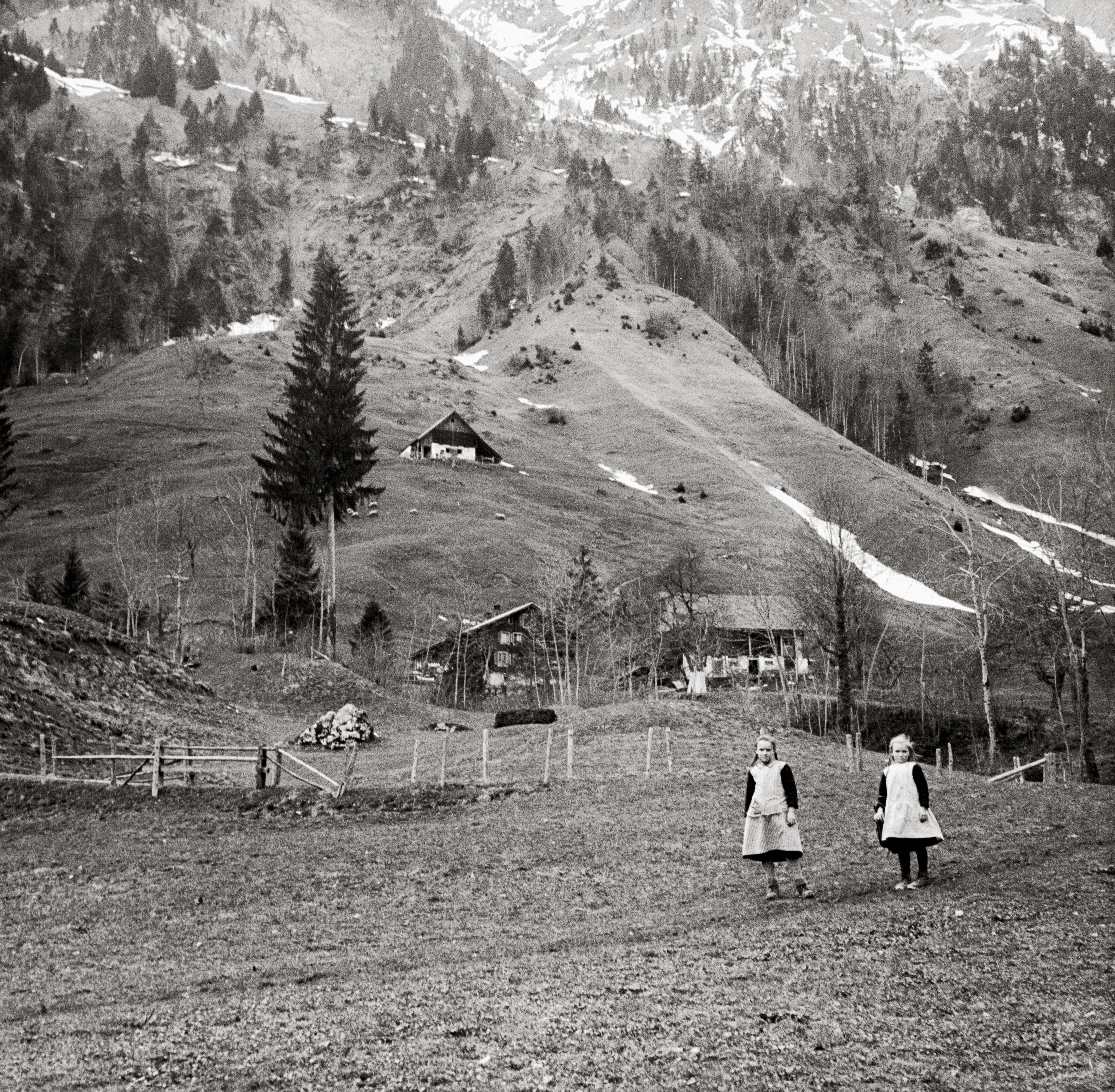 Горные хозяйства на крутых склонах, 1939. Фотограф Леонард фон Матт