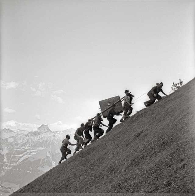 Защитники животных несут альпийского горного козла, которого выпустят на волю. Нидвальден, Швейцария, 1954. Фотограф Леонард фон Матт