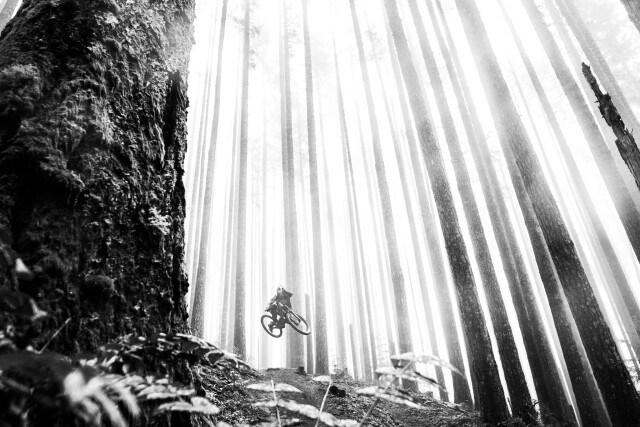 Финалист в категории «Emerging», 2021. Спортсмен Остин Хемперли трюкачит среди деревьев. Блэк-Рок, штат Орегон, США. Фотограф Калеб Эли