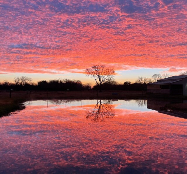 3 место в категории «Закат», 2021. «Восход солнца над прудом». Англтон, Техас. Автор Данетт Сприггс