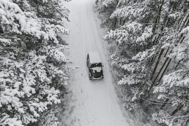 Снежный лес. Фотограф Максим Тарасов