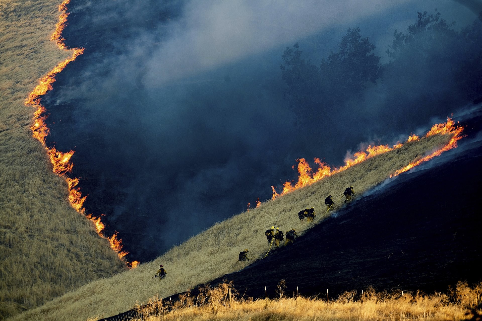 2 место в категории Окружающая среда, 2020. Пожарные сражаются с огнём недалеко от города Брентвуд, штат Калифорния, США. Автор Ноа Бергер