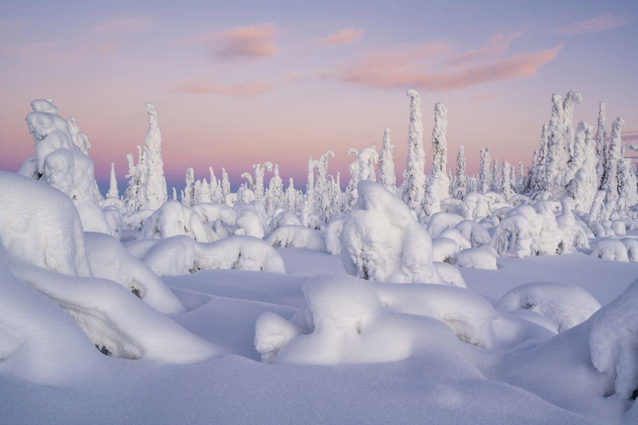 Финалист, 2021. Утро середины зимы. Северная Лапландия, Швеция. Автор Гунар Стреу