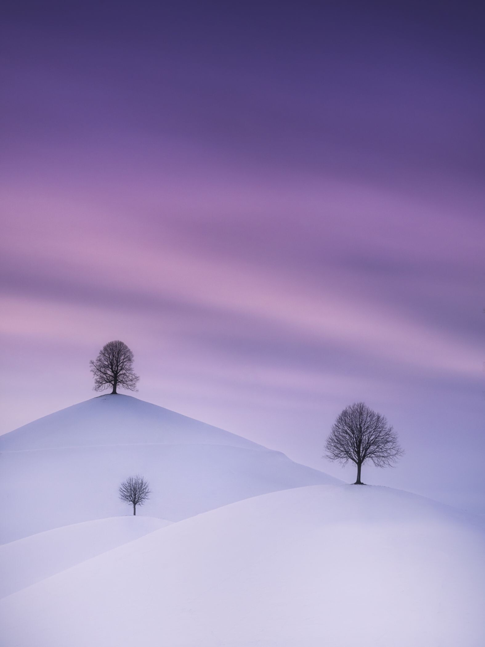 3 место в номинации Пейзажная фотография года 2021. Зимой в Швейцарии. Автор Бен Гуд
