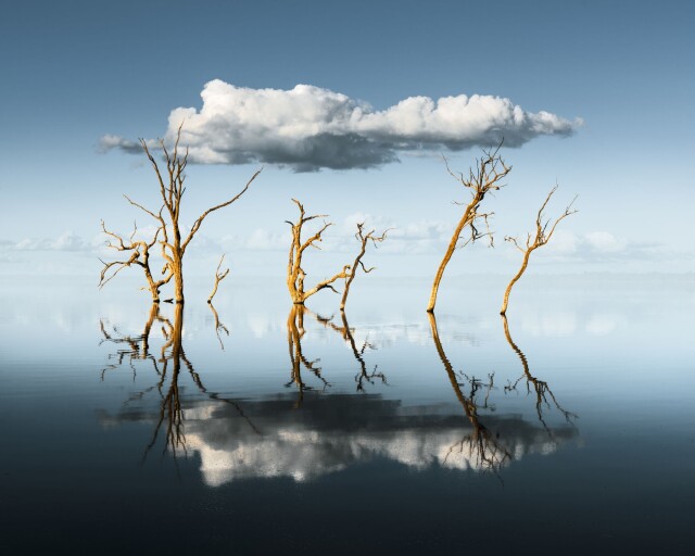 2 место в номинации «Пейзажная фотография года» 2021. «Отражение». Озеро Бонни в Южной Австралии. Автор Седрик Тамани