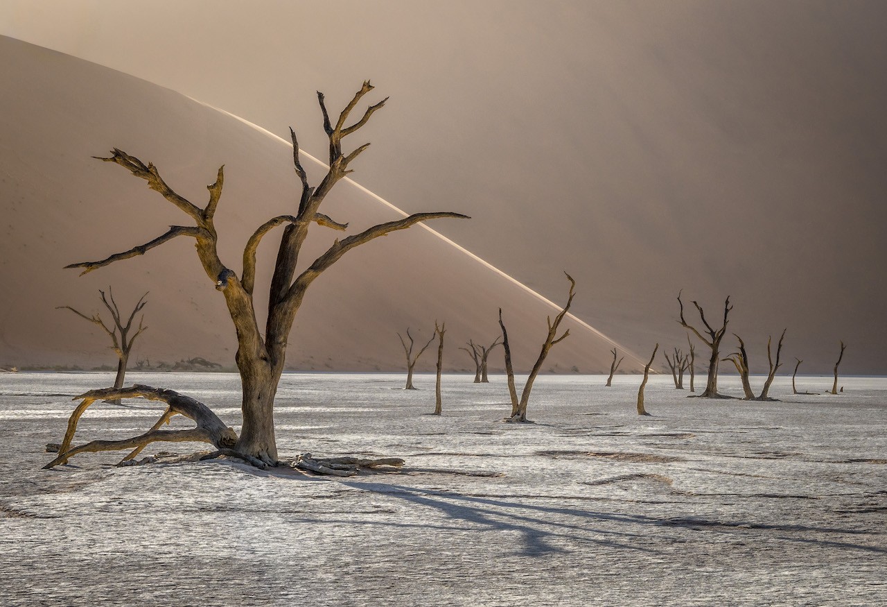 Национальный парк Намиб-Науклуфт в Намибии. Финалист, 2019. Автор Томаш Шпила