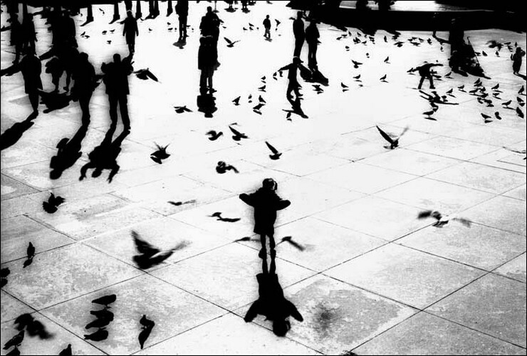 Серёдка. Фотограф Дэвид Гибсон / Фото / Камералабс