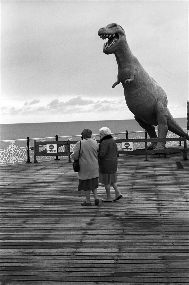 Тираннозавр. Фотограф Дэвид Гибсон / Фото / Камералабс