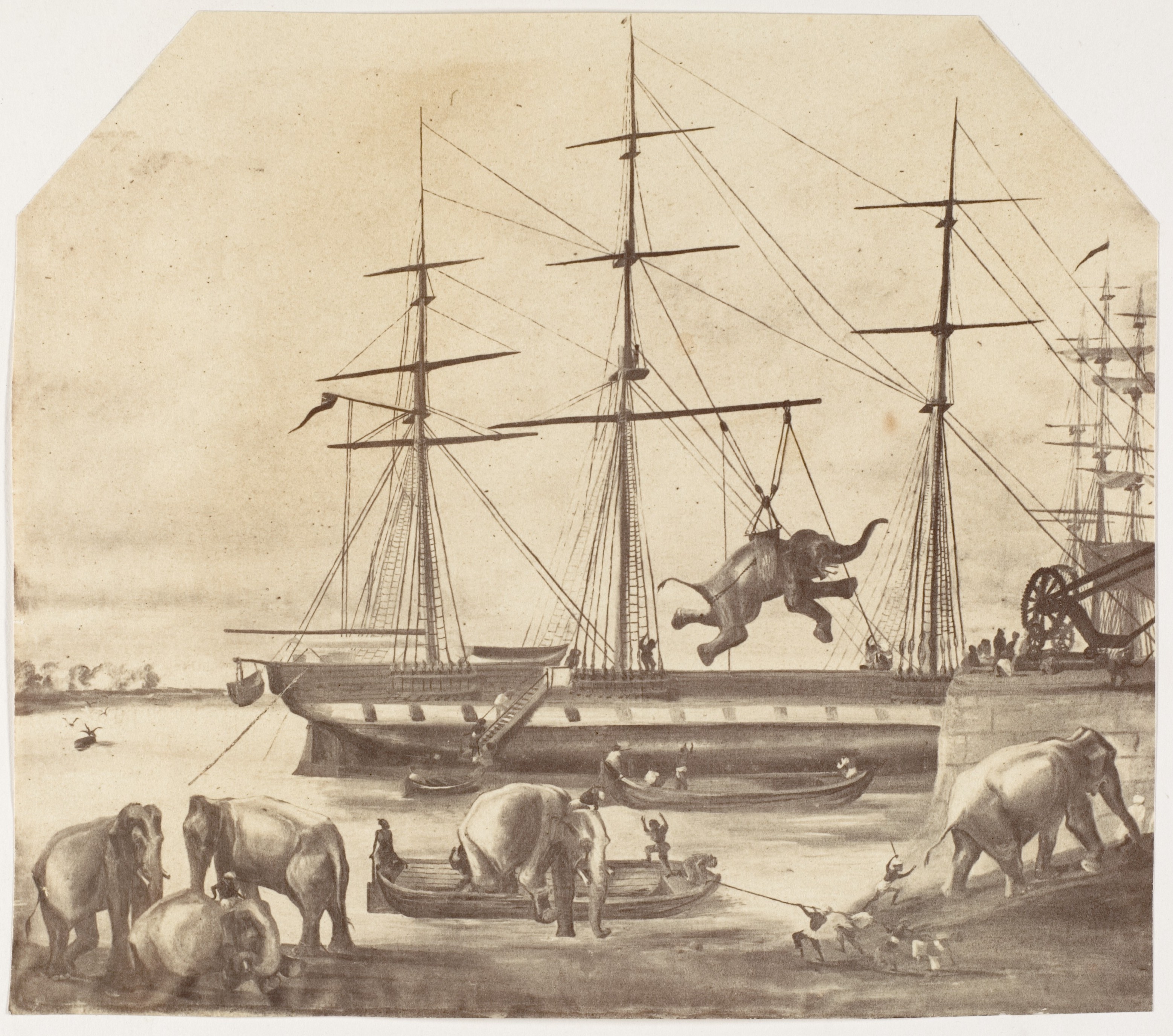 Высадка груза из семидесяти слонов из Бирмы во время восстания 1857 года