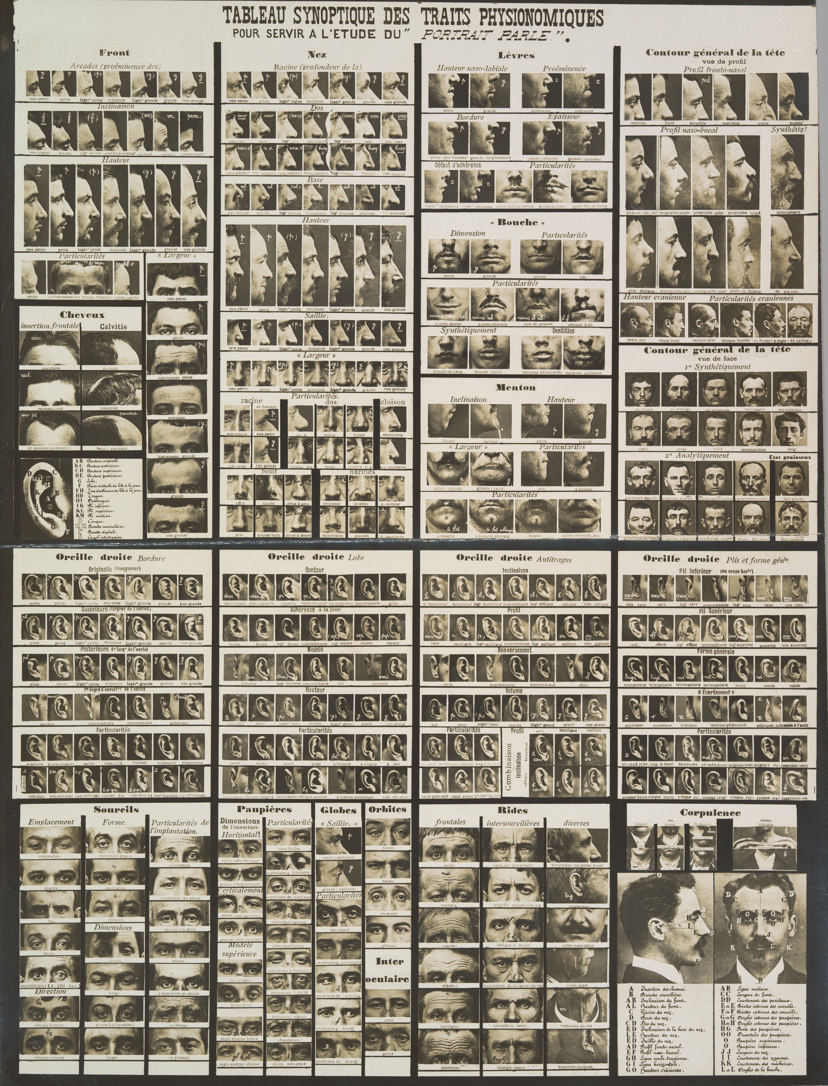 Сводная таблица физиогномических черт для изучения разговорного портрета в криминалистике, 1909. Автор Альфонс Бертильон