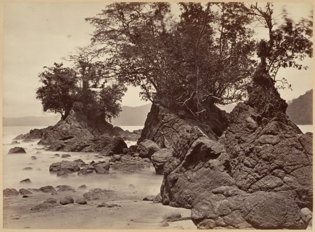 Тропический пейзаж, залив Лайм, отлив, 1871. Автор Джон Моран