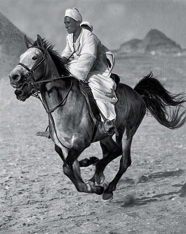 Египет, 1929. Фотограф Мартин Мункачи