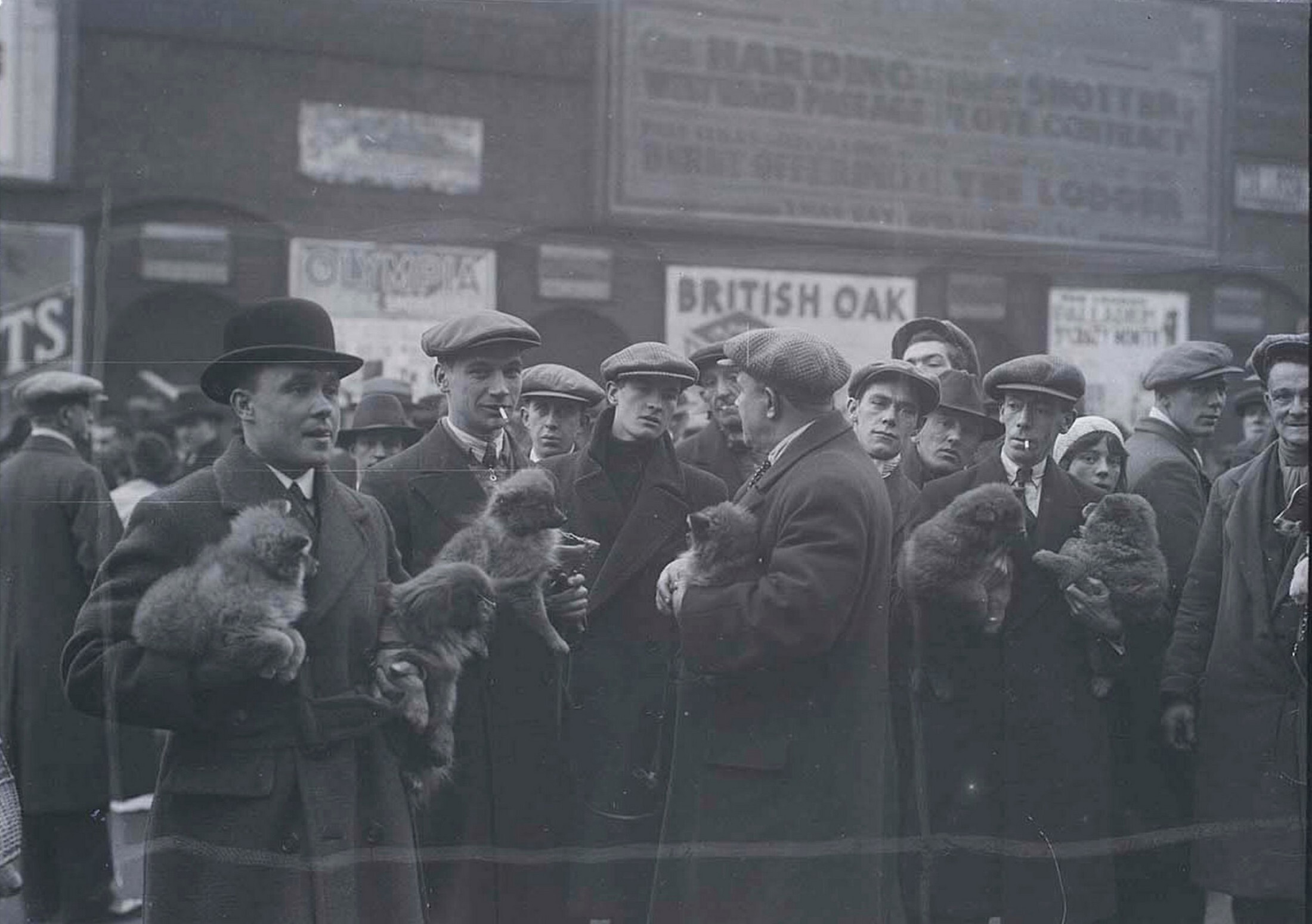 Собачий рынок, Англия, 1934. Фотограф Мартин Мункачи