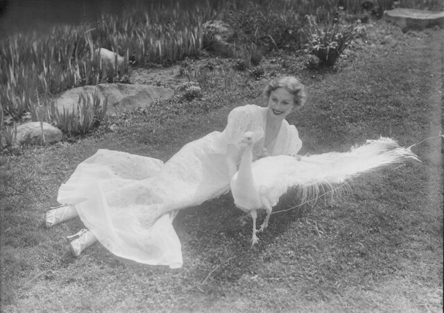 Женщина с белым павлином, 1936. Фотограф Мартин Мункачи