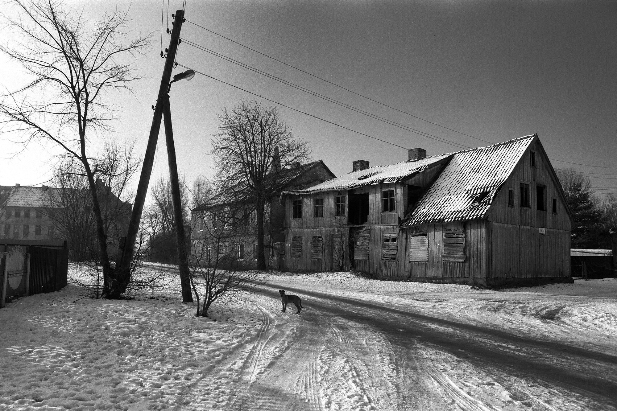 Чехово, Калининградская область, 2014 год. Фотограф Борис Регистер