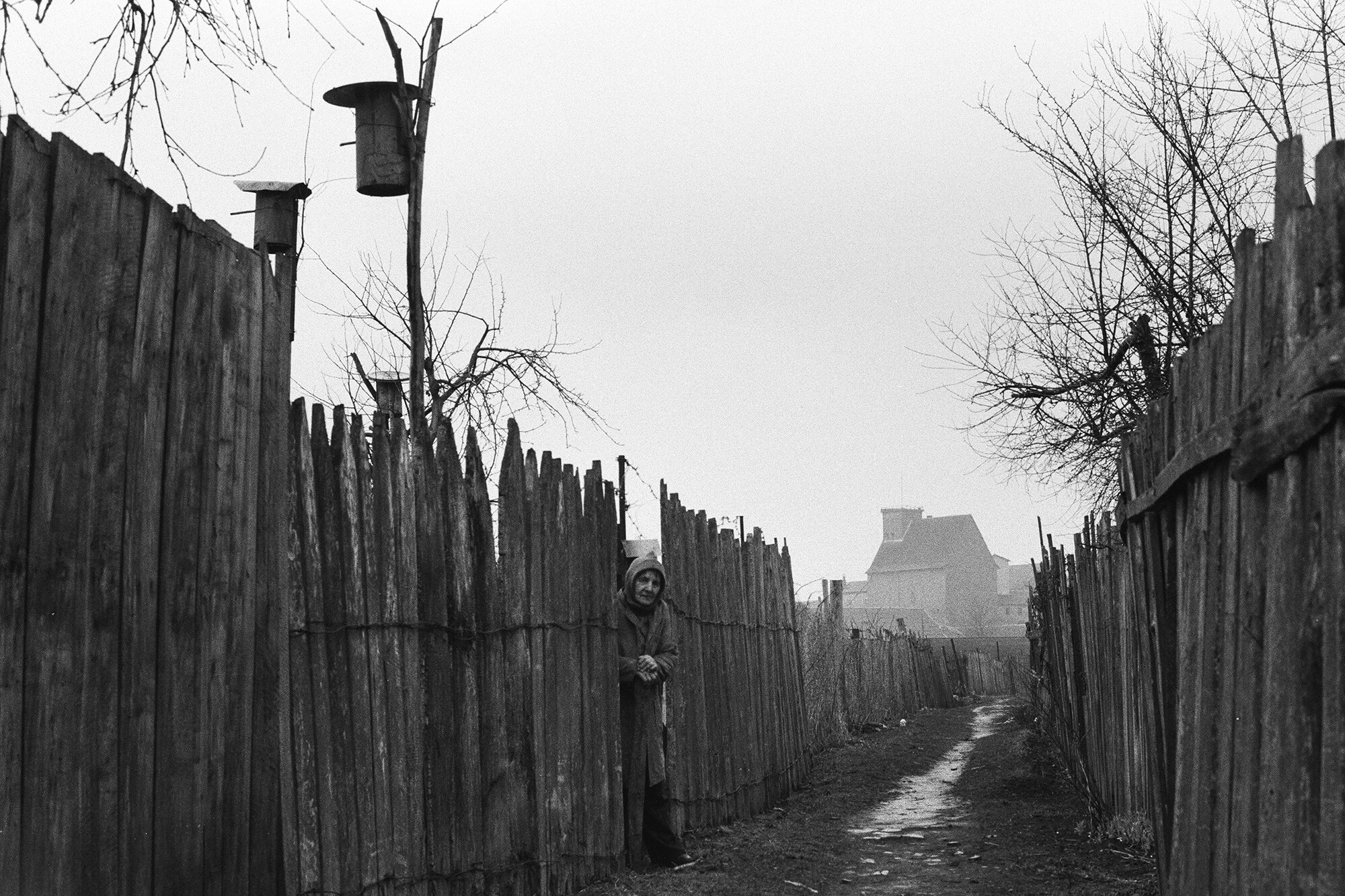 Велау, 2012 год. Фотограф Борис Регистер