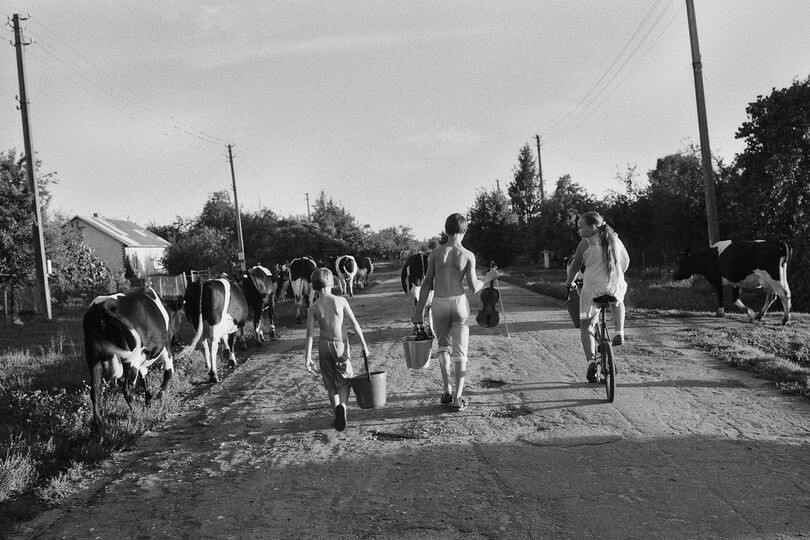 Поселок Ясное, Калиниградская область, из архива фотографа, 2015 год. Фотограф Борис Регистер