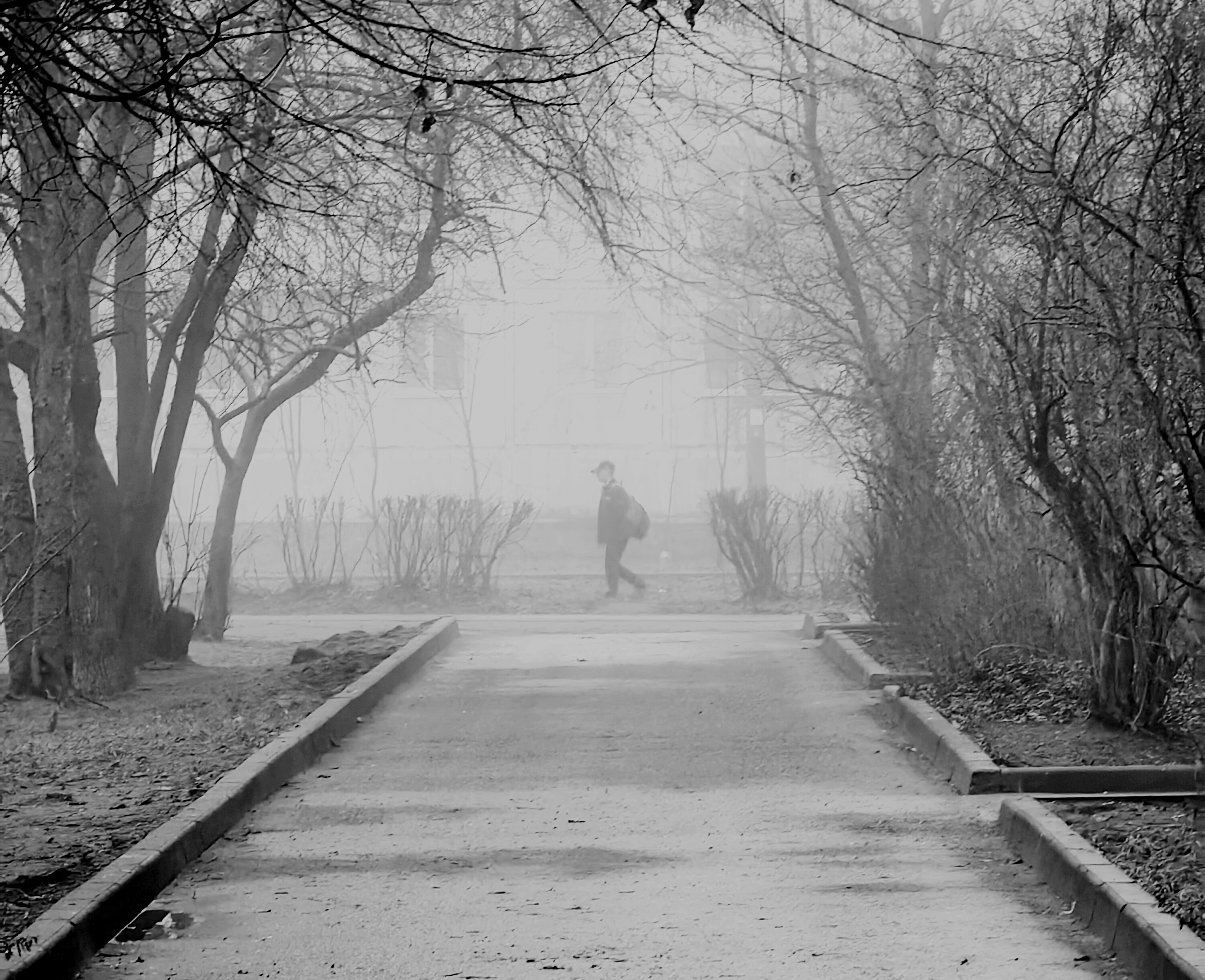 Sokolov Mikhail — фотоистория — 18 декабря 2024 года