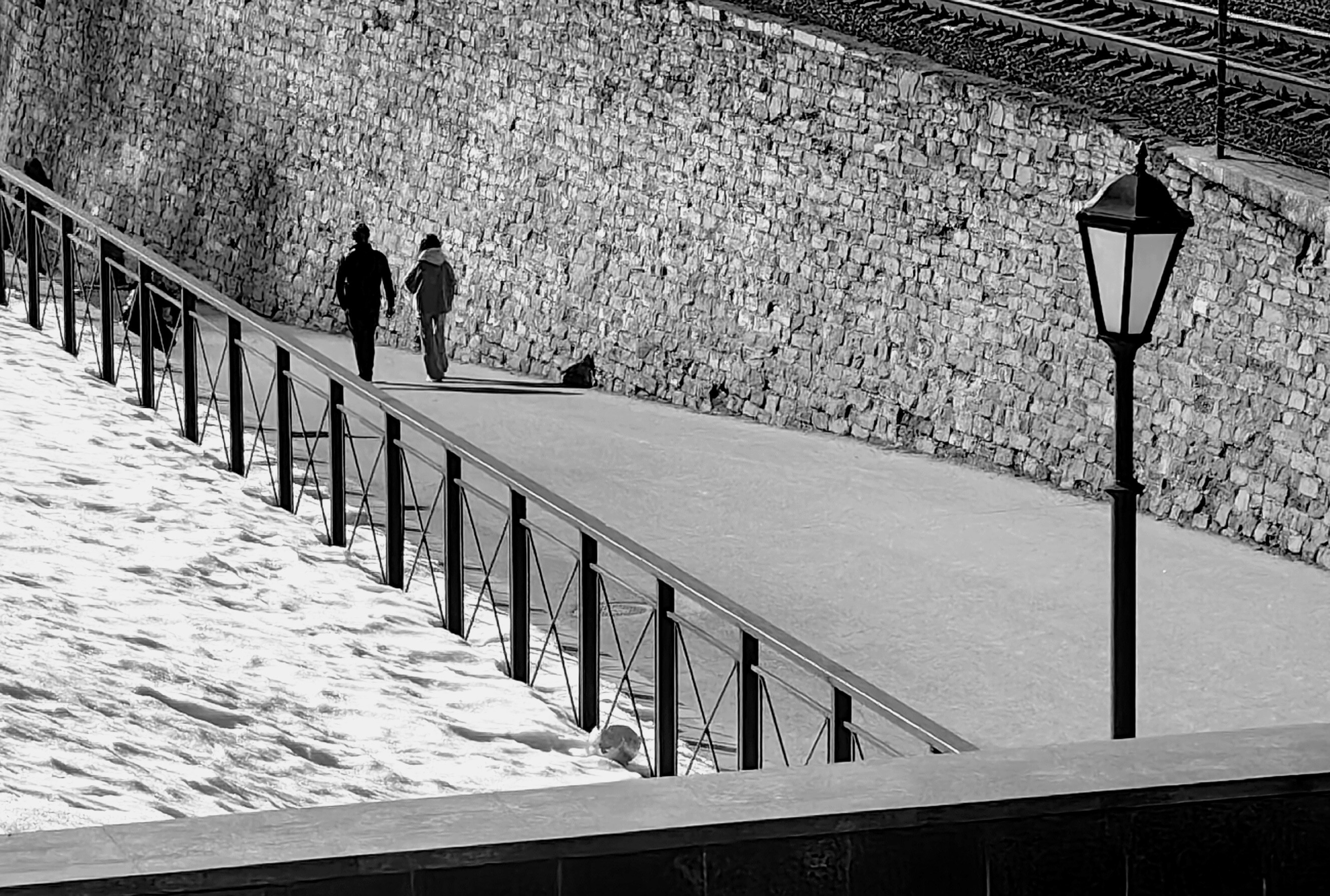 Sokolov Mikhail — фотоистория — 08 апреля 2026 года