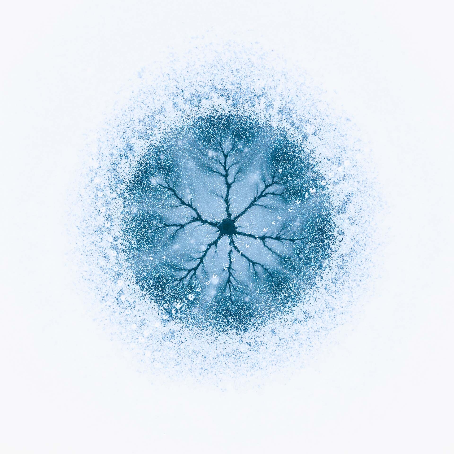 1 место в категории Искусство природы, 2021. Ледяная клетка. Фото с воздуха над зимним озером Куэйдель в Румынии из проекта Анатомия льда. Автор Георге Попа