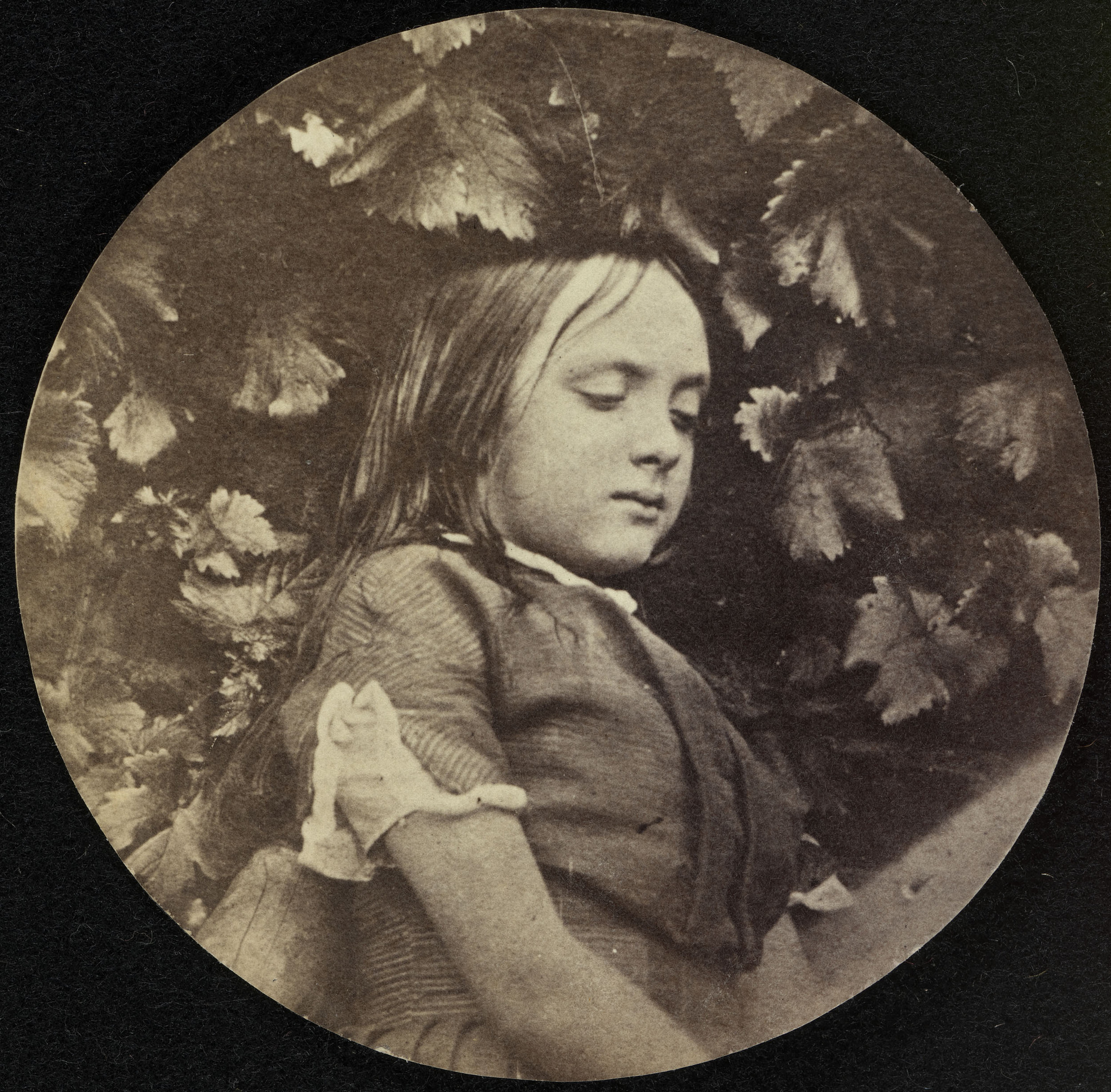 Момент спокойствия, 1854. Фотограф Чарльз Терстон Томпсон