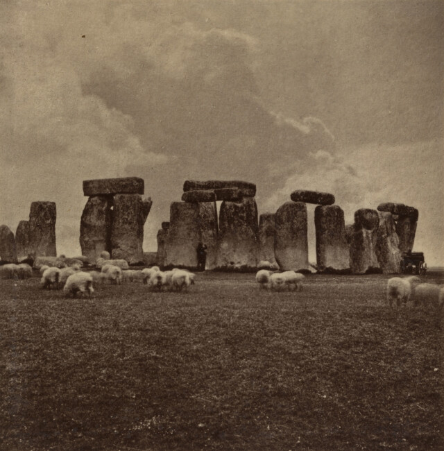 Стоунхендж с пасущимися овцами, ок. 1860. Фотограф Джордж Вашингтон Уилсон