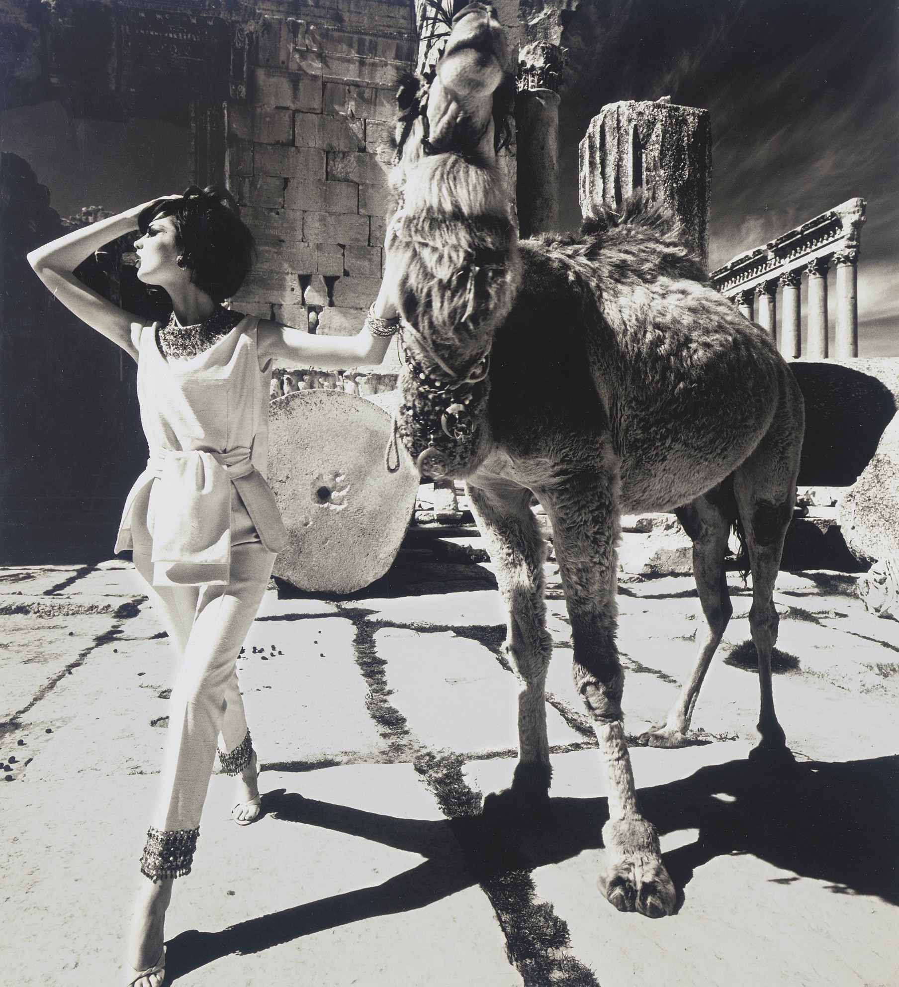 Дороти Макгоуэн с верблюдом, Баальбек, 1961 год. Фотограф Уильям Кляйн